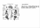 운동을 통한 신경계의 변화,신경의 일반적 이해구조와 기능,뉴런의 구조,감각 운동신경계의 통합 조절 작용 5페이지