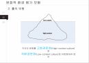 국제경영론,문화적환경평가모형,성공및실패사례,홉스테드 모형,클러크혼과 스트로드벡의 모형 12페이지