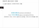 국제경영론,문화적환경평가모형,성공및실패사례,홉스테드 모형,클러크혼과 스트로드벡의 모형 15페이지