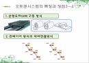 저탄소화물운송시스템,국내탄소배출현황,Skysails 시스템,Autocon 시스템 17페이지