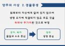 양주는누구인가,양주가살았던시대,양주의사상,위아설,경물증생 22페이지