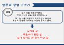 양주는누구인가,양주가살았던시대,양주의사상,위아설,경물증생 26페이지