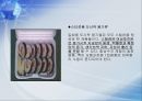 환경호르몬의습격,환경호르몬의정의,환경호르몬의특징,환경호르몬의체내유입경로 7페이지