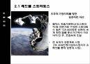 비이럴마케팅이란,바이럴마케팅의종류,바이럴마케팅의특징,광고는무엇을말하는가,레드볼성공사례 8페이지