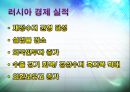 러시아,BRICS국가 러시아의 최근 경제 상황,러시아의 경제 분석,러시아의 경제 향후 전망,러시아경제실적 3페이지
