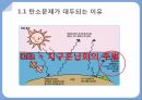 탄소배출권거래제,탄소문제가 대두되는 이유,탄소배출권거래제란,탄소세와 탄소배출권 5페이지