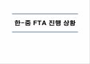 성공적인한중FTA,한중FTA의 현 진행상황,미국, EU간의 FTA주요내용과 추진배경,한중간 FTA의 추진배경,한국 경제의 특성 3페이지