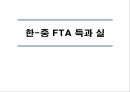 성공적인한중FTA,한중FTA의 현 진행상황,미국, EU간의 FTA주요내용과 추진배경,한중간 FTA의 추진배경,한국 경제의 특성 28페이지