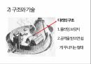 성과요새,정복자 윌리엄의 영향,석성의기원,십자군성들,도시요새들과요새화된거주지 8페이지