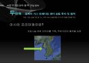 Gazprom,고압가스,예하그룹,주식상황,경제상황하락과대응,한국기업과의합작가능성 21페이지