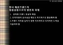 BURBERRY,버버리,버버리성장사,버버리의해외진출,버버리코리아,버버리SWOT분석,버버리4P분석 22페이지