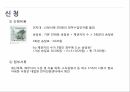 개인채무회생제도,제도의목적및근거법령,파산및워크아웃과의차이점,신청절차표,개인회생효력 10페이지