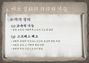바보설화의개념과변모양상,바보설화,바보설화의분류,바보설화의현대적변모양상,바보설화의의의와기능 24페이지