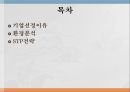 로만손,로만손기업선정이유,로만손환경분석,로만손STP전략 2페이지