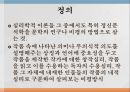 해석학적 비평,전통적 해석학,슐라이어마허,신 해석학 11페이지