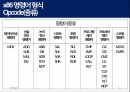 상용 프로세서의 명령어 형식(x86) 10페이지