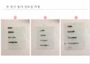 생명화학공학실습 Styrene으로 중합되는 농도별 물질의 다양한 기기를 통한 열적특성 관찰 스티렌 중합반응 PPT 발표자료 19페이지