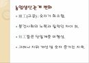 명-청시대 자본주의맹아론,자본주의맹아론,맹아론의타당성,맹아론의실존적한계,맹아론의역사적의의 10페이지
