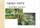명-청시대 자본주의맹아론,자본주의맹아론,맹아론의타당성,맹아론의실존적한계,맹아론의역사적의의 14페이지