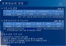 문화일보,문화일보등장배경,문화일보연혁과역사,문화일보특징,문화일보경영과제정 8페이지
