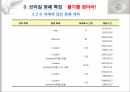 브라질의화폐,브라질국가정보,브라질화폐정보,브라질화폐특징,브라질화폐의오늘날 19페이지
