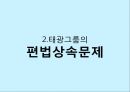 비윤리경영사례,중소기업 환경오염  분식회계,금융기관 불법대출  로비,대기업가 배임 38페이지
