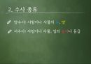 외국인을위한한국어문법,한국어문법,수사,수사의계열,수사의종류,어림수,단위의존명사 10페이지