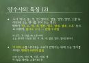 외국인을위한한국어문법,한국어문법,수사,수사의계열,수사의종류,어림수,단위의존명사 13페이지
