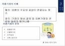 자금시장,자본시장,외환시장,파생금융상품시장 18페이지