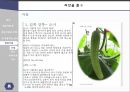 다문화 가정,다문화 가정의 상황,다문화가족 영양지원,영양사업 27페이지