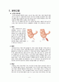 급성충수돌기염(Acute appendicitis) 케이스스터디(간호진단,과정 2개 포함), A+받은 자료입니다!!! 3페이지
