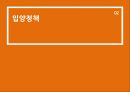 입양,입양의정의,입양정책,국내입양정책,외국의입양정책,입양정책의개선방안,입양의현황,입양의목적과유형 11페이지