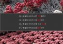 에볼라 바이러스,에볼라 바이러스의 증상,에볼라 바이러스 피해,에볼라 바이러스 예방 2페이지