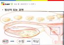 임신과 영양 30페이지