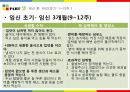 임신과 영양 41페이지