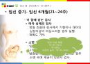 임신과 영양 61페이지