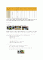 단체 급식소 한 곳을 방문하여 사례 조사한 ,후  보고서를 작성하시오. 5페이지