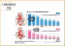 니코틴중독,니코틴 중독의 과정,니코틴 중독의 이해,니코틴 중독연구,흡연율,중독의 이해 13페이지
