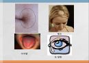 수용성비타민,비타민의정의,티아민,리보플라빈,니아신,판토텐산,비오틴,엽산,비타민C 25페이지
