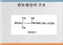 수용성비타민,비타민의정의,티아민,리보플라빈,니아신,판토텐산,비오틴,엽산,비타민C 41페이지