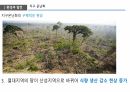 환경과 발전,인구 감소,삼림 벌채,사막화,환경의 정치경제학,재생가능 에너지,지속 가능성,지구온난화 11페이지
