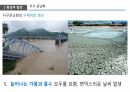 환경과 발전,인구 감소,삼림 벌채,사막화,환경의 정치경제학,재생가능 에너지,지속 가능성,지구온난화 13페이지