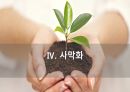환경과 발전,인구 감소,삼림 벌채,사막화,환경의 정치경제학,재생가능 에너지,지속 가능성,지구온난화 51페이지