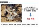 환경과 발전,인구 감소,삼림 벌채,사막화,환경의 정치경제학,재생가능 에너지,지속 가능성,지구온난화 59페이지