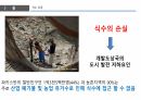 환경과 발전,인구 감소,삼림 벌채,사막화,환경의 정치경제학,재생가능 에너지,지속 가능성,지구온난화 61페이지