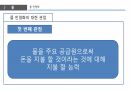 환경과 발전,인구 감소,삼림 벌채,사막화,환경의 정치경제학,재생가능 에너지,지속 가능성,지구온난화 65페이지