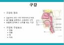 노인 구강관리,구강의 중요성,구강의 실태,구강질환의 위험요인,구강질환 예방법,치아관리법,실버산업의 관점 9페이지