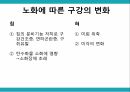 노인 구강관리,구강의 중요성,구강의 실태,구강질환의 위험요인,구강질환 예방법,치아관리법,실버산업의 관점 12페이지