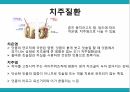 노인 구강관리,구강의 중요성,구강의 실태,구강질환의 위험요인,구강질환 예방법,치아관리법,실버산업의 관점 30페이지