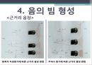 초음파 탐촉자,압전효과,탐촉자,주파수 특성,음의 빔 형성,공간 분해능,배열형 탐촉자,다중 압전 물질 구성,탐촉자의 유형 18페이지